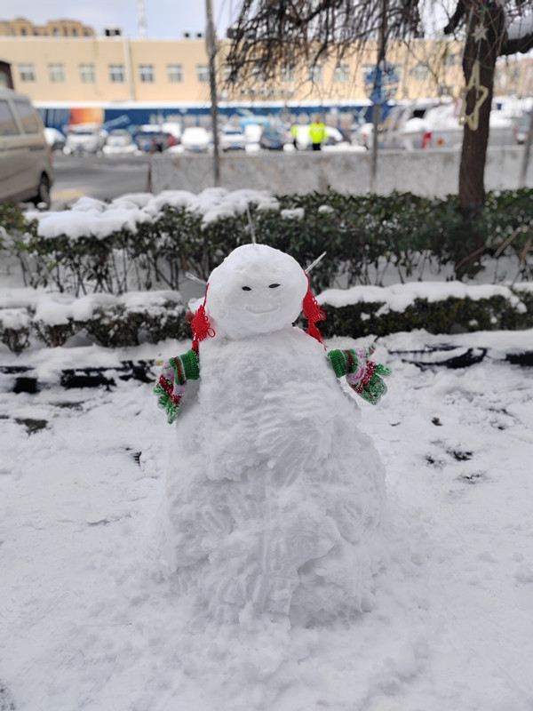 雪、雪合戦するよ。